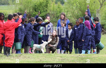 La duchesse de Cambridge visites de fermes pour les enfants de la ville de voir leur travail de donner aux jeunes de quartiers défavorisés la chance de passer une semaine sur une vraie ferme. Son Altesse Royale se joint à un groupe d'élèves de l'école et des enseignants qu'ils muck dans autour de la ferme, et se réunira pour l'auteur Michael Morpurgo et sa femme Clare pour en savoir plus sur l'organisation elles fondée en 1976. La duchesse de Cambridge alimente un lait agneau nommé Stinky. Avec : Catherine, duchesse de Cambridge, Kate Middleton Quand : 03 mai 2017 Crédit : David Sims/WENN.com Banque D'Images