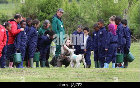 La duchesse de Cambridge visites de fermes pour les enfants de la ville de voir leur travail de donner aux jeunes de quartiers défavorisés la chance de passer une semaine sur une vraie ferme. Son Altesse Royale se joint à un groupe d'élèves de l'école et des enseignants qu'ils muck dans autour de la ferme, et se réunira pour l'auteur Michael Morpurgo et sa femme Clare pour en savoir plus sur l'organisation elles fondée en 1976. La duchesse de Cambridge alimente un lait agneau nommé Stinky. Avec : Catherine, duchesse de Cambridge, Kate Middleton Quand : 03 mai 2017 Crédit : David Sims/WENN.com Banque D'Images