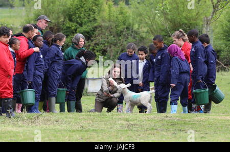 La duchesse de Cambridge visites de fermes pour les enfants de la ville de voir leur travail de donner aux jeunes de quartiers défavorisés la chance de passer une semaine sur une vraie ferme. Son Altesse Royale se joint à un groupe d'élèves de l'école et des enseignants qu'ils muck dans autour de la ferme, et se réunira pour l'auteur Michael Morpurgo et sa femme Clare pour en savoir plus sur l'organisation elles fondée en 1976. La duchesse de Cambridge alimente un lait agneau nommé Stinky. Avec : Catherine, duchesse de Cambridge, Kate Middleton Quand : 03 mai 2017 Crédit : David Sims/WENN.com Banque D'Images