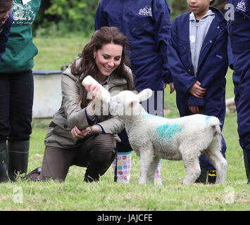 La duchesse de Cambridge visites de fermes pour les enfants de la ville de voir leur travail de donner aux jeunes de quartiers défavorisés la chance de passer une semaine sur une vraie ferme. Son Altesse Royale se joint à un groupe d'élèves de l'école et des enseignants qu'ils muck dans autour de la ferme, et se réunira pour l'auteur Michael Morpurgo et sa femme Clare pour en savoir plus sur l'organisation elles fondée en 1976. La duchesse de Cambridge alimente un lait agneau nommé Stinky. Avec : Catherine, duchesse de Cambridge, Kate Middleton Quand : 03 mai 2017 Crédit : David Sims/WENN.com Banque D'Images