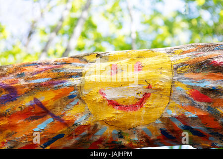 Soleil visage heureux peint sur un tronc d'arbre tombé Banque D'Images