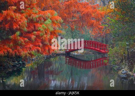 Pont Rouge, un jardin japonais, automne Banque D'Images