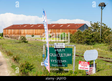 Une ferme locale en Amagansett, NY Banque D'Images