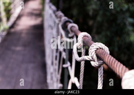 Détails de gros plan les voies sont constituées des câbles du pont suspendu sur la rivière, selective focus. Banque D'Images