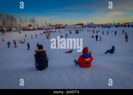 Harbin, Chine - Février 9, 2017 : pas de visiteurs ayant l'amusement dans le Harbin International Ice and Snow Sculpture Festival, le plus grand festival de glace et de neige. Banque D'Images