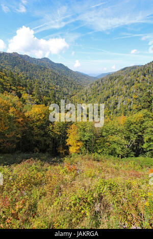 Les feuilles d'automne commence à tourner dans le Great Smoky Mountains National Park contre un ciel bleu et nuages blancs Banque D'Images