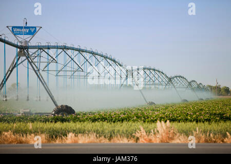 L'irrigation agricole système de gicleurs utilisés dans une ferme commerciale - le Centre de la Californie USA Banque D'Images