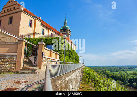 Vignoble en face du château Mělnik Bohemia République Tchèque Banque D'Images