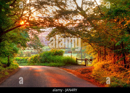 Le coucher de soleil à Baker's Hill près du village de Cotswold Mickleton, Chipping Campden, Gloucestershire, Angleterre. Banque D'Images