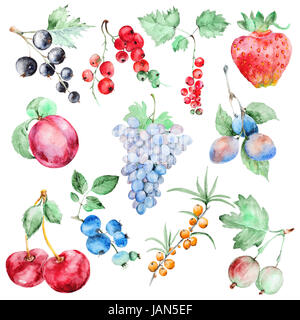 Set fruits aquarelle Banque D'Images