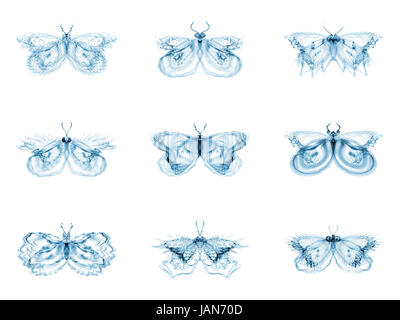 Série Papillons fractale. Interaction des papillons fractale isolé sur le sujet de la science, la créativité et la conception Banque D'Images