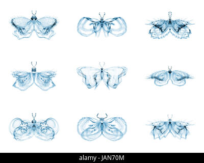 Série Papillons fractale. Interaction des papillons fractale isolé sur le sujet de la science, la créativité et la conception Banque D'Images