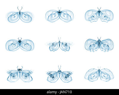 Série Papillons fractale. Interaction des papillons fractale isolé sur le sujet de la science, la créativité et la conception Banque D'Images