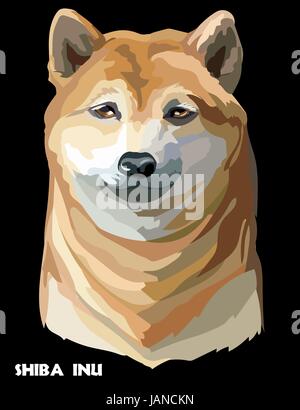 Shiba Inu chien couleur portrait vecteur isolé sur fond noir Illustration de Vecteur