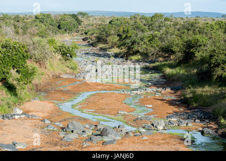 Paysage pittoresque de juste un filet d'eau dans l'une des rivières dans le Parc National Kruger Banque D'Images