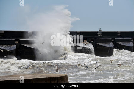 Brighton, UK. 7 juin, 2017. Les vagues déferlent sur le port de plaisance de Brighton mur occidental comme des vents forts continuer le long de la côte sud d'aujourd'hui mais avec les prévisions météorologiques à i8mprove à nouveau la semaine prochaine au Royaume-Uni Crédit : Simon Dack/Alamy Live News Banque D'Images