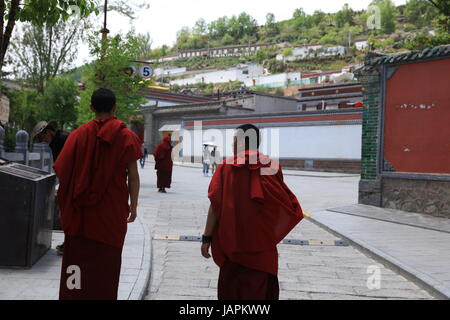 7 juin 2017 - Xining, Xining, Chine - Xining, Chine-Juin 7 2017 : (usage éditorial uniquement. Chine OUT) ..Le Monastère de goudron, l'un des six plus importants monastères de l'Gelukpa (jaune Hat) du bouddhisme tibétain, est un grand complexe avec des dizaines de salles et tours sur une montagne en deux styles architecturaux Han et Tibétain. Situé à Huangzhong County, à 25 kilomètres de Xining, province du Qinghai en Chine du nord-ouest, le monastère a été construit en 1560 en l'honneur du fondateur de l'école Gelukpa, Djé Tsongkhapa. Il est connu pour ses nombreuses peintures murales, des sculptures de beurre et barbolas qui Banque D'Images