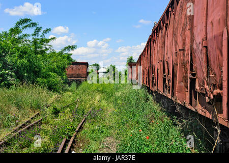 Vieux wagons sur la voie de chemin de fer dans les mauvaises herbes, les buissons et l'herbe. Banque D'Images