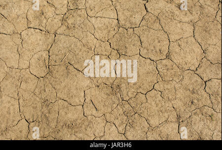 Séché et sol fissuré près de Shoreham, West Sussex, Angleterre Banque D'Images