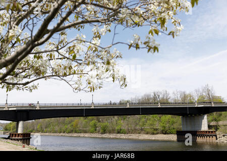 Le Palatin Pont sur la rivière Mohawk entre Canajoharie et Palatine Bridge, New York, à Montgomery Co8nty. Banque D'Images