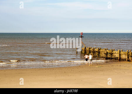 Épi en bois, une partie de la défense de la mer à Walcott sur la côte nord du comté de Norfolk. Banque D'Images