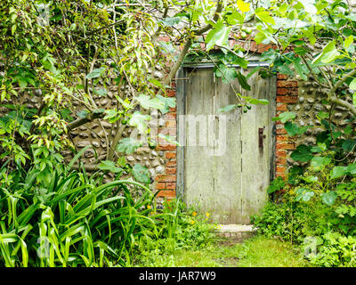 Vieilles portes en bois en briques et silex murs dans un jardin rustique à Norfolk, en Angleterre. Banque D'Images