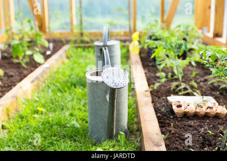 L'agriculture biologique, le jardinage, l'agriculture concept. arrosoir en émissions de Banque D'Images