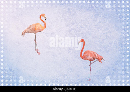 Flamants Roses devant un fond marbré bleu avec des étoiles Banque D'Images
