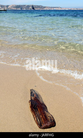 Driftwood beach Sarde Banque D'Images