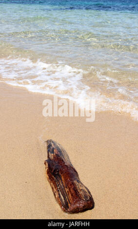 Driftwood beach Sarde Banque D'Images