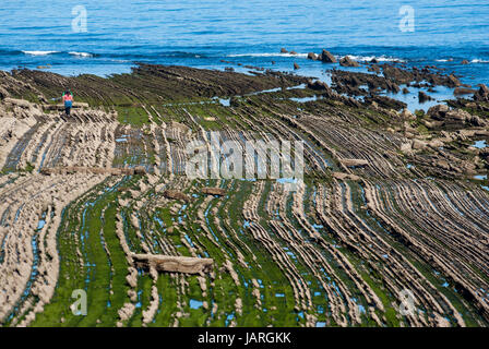 Marcher sur des rochers, plage de flysch, Sakoneta, Pays Basque Banque D'Images