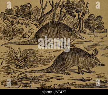 'Peu de gens dans les plumes et de la fourrure, et d'autres en ni' (1875) Banque D'Images