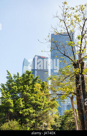 GUANGZHOU, CHINE - 1 avril 2017 : arbres verts et des bâtiments de la tour de Guangzhou Zhujiang New Town city au printemps. Guangzhou est la troisième-populo Banque D'Images