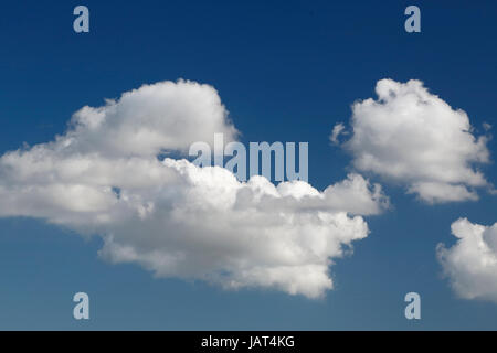 La formation de nuages, Amazone, Brésil Banque D'Images