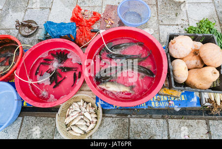 Hangzhou, Chine - 30 mars 2017 : des poissons vivants et des citrouilles sur street marché plein air dans Yangshuo au printemps. La ville est la destination de villégiature pour le marché intérieur et Banque D'Images