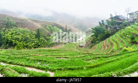 Voyage en Chine - vue de rizières en terrasses et Tiantouzhai village de Dazhai zone Longsheng rizières en terrasse (terrasse, Dragon's backbone Rice Longji Banque D'Images