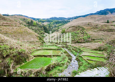 Voyage en Chine - vue de champs en terrasses et creek village de Dazhai dans pays de Longsheng rizières en terrasse (terrasse, Dragon's backbone Rice Longji Te Banque D'Images