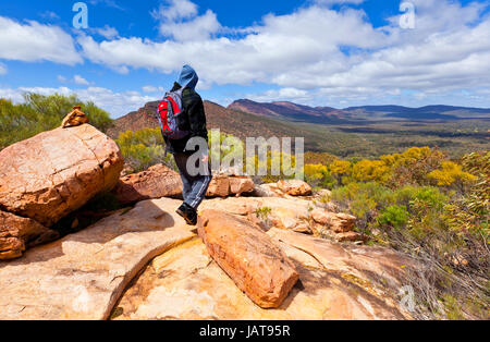 Le Wilpena Pound et Wangarra Lookout Trail Wilpena Pound Flinders en Australie du Sud Banque D'Images