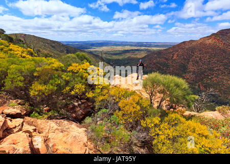 Le Wilpena Pound et Wangarra Lookout Trail Wilpena Pound Flinders en Australie du Sud Banque D'Images