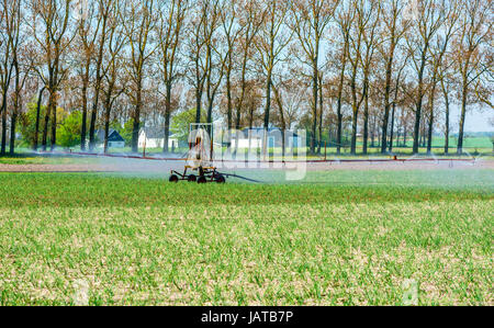 Système d'arrosage mobile sur le terrain les agriculteurs, s'étendant au-dessus de la récolte d'eau douce. Les bâtiments de ferme à l'arrière-plan. Banque D'Images