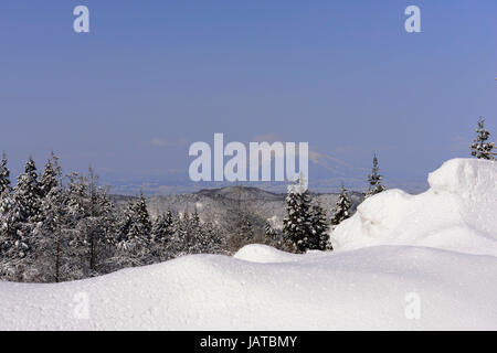 Beaux paysages d'hiver dans la préfecture d'Aomori, au Japon. Banque D'Images