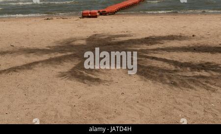 Golfe de Thaïlande Coco Tropical Palm Tree ombre sur le sable de plage Pattaya Thaïlande Banque D'Images