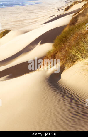 Le coucher de soleil sur la côte de l'Oregon crée des couleurs d'or sur les dunes de sable. Banque D'Images