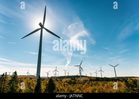 Cap Chat - Canada : 1 octobre 2016 : Ferme éolienne plus de ciel bleu au coucher du soleil Banque D'Images