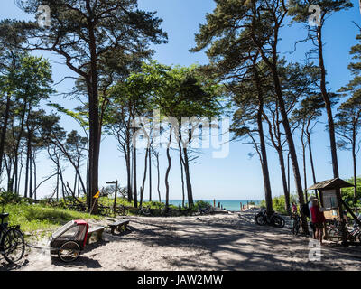 Location parking à la plage 'Le Relais Du Lac' à l'ouest de Prerow, accès à la plage, la mer Baltique, la péninsule de Fischland-darss-Zingst, Mecklenburg-Vorpommern, Banque D'Images