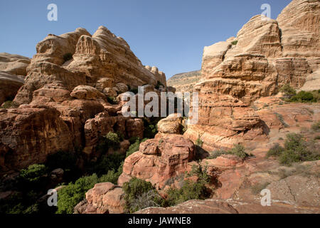 Paysage typique des formes et de la roche dans le Parc National de Dana, en Jordanie Banque D'Images