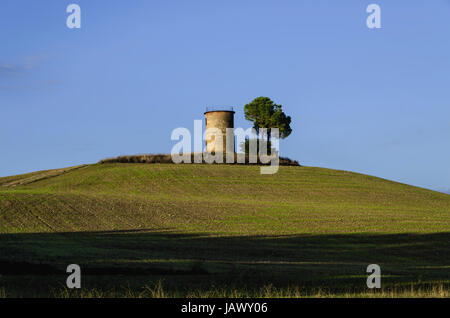 L'après-midi chaud dans la campagne toscane, Bibbona Banque D'Images