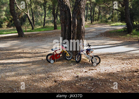 Deux vélos pour enfants avec des roues stabilisatrices garé au-dessous d'un arbre dans un parc. Banque D'Images