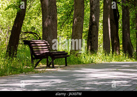 Banc de parc en bois vides à l'ombre sous de vieux arbres. sentier de pierre. le printemps dans le parc. Banque D'Images