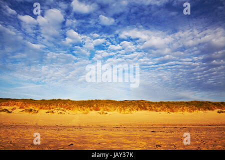 La plage de Faros au moment de la coucher du soleil. Le sable est éclairé à partir de la profondeur dans un soleil permanent - Or jaune - couleur rouge. Banque D'Images